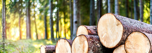 Log trunks pile, the logging timber forest wood industry. Wide banner or panorama wooden trunks photo