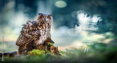 Eurasian Eagle-Owl sitting with prey on moss stump in magic forest. Bubo bubo