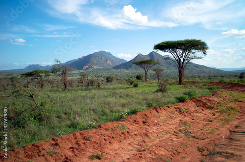 Landscape with red road through the African savanna to the mountain in the background in the national park in Kenya in Africa.