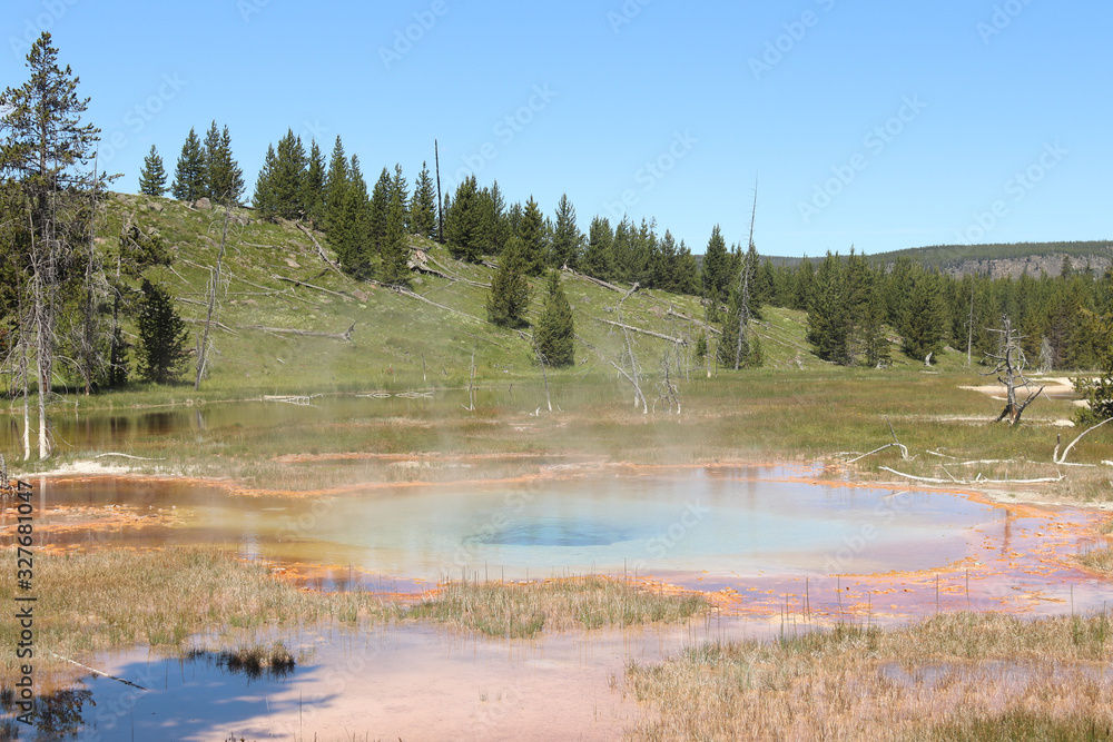 prismatic hot springs and forests