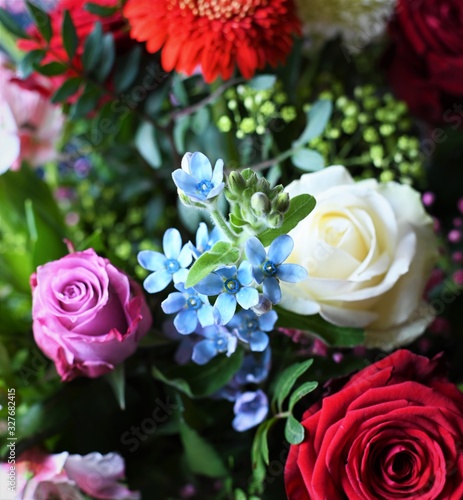 Bl  hender  bunter Blumenstrau   mit Vergissmeinnicht in Detailaufnahme mit Rosen