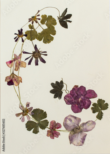 Pressed flowers