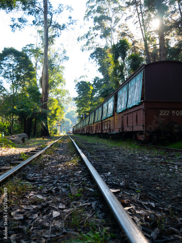 Short railway in forest © Pat Whelen