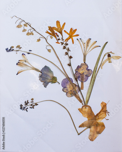 Pressed flowers
