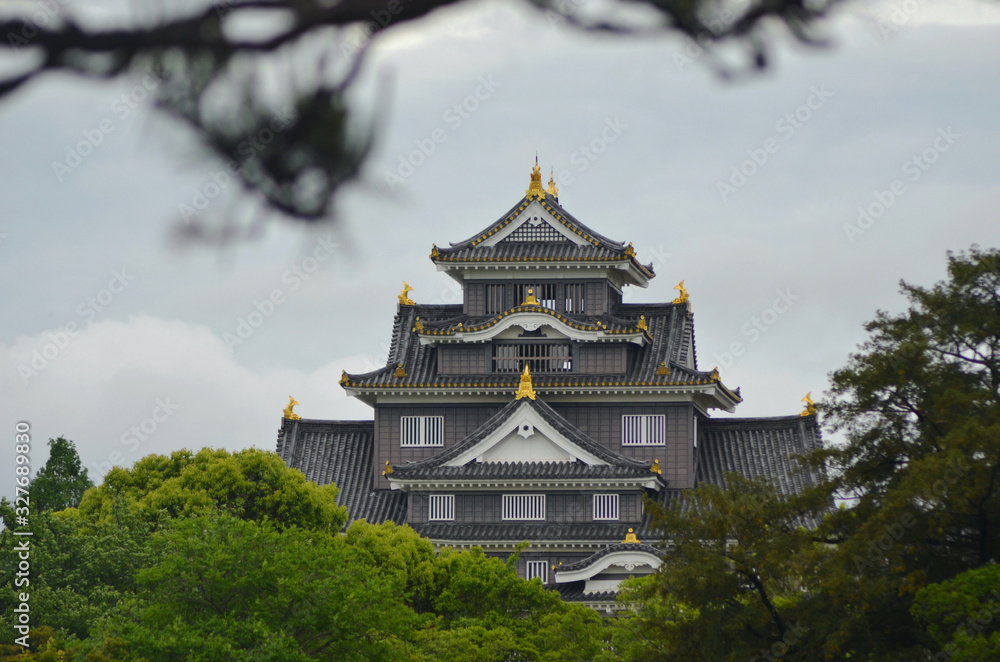 Matsumoto Castle, Japan, is seen from below, framed by trees. The black building with gold details stands out against an overcast sky. Matsumoto Castle, Japan, is seen from below, framed by trees. The black building with gold details stands out against an overcast sky.