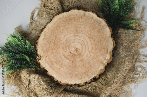Tree log composition on a light background. Mockup with a tree log, a rustic fabric and green plants. Isolated background. Top view.