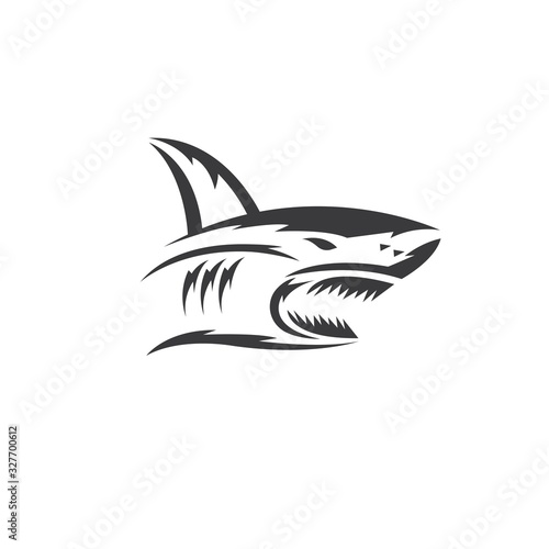 shark vector illustration design