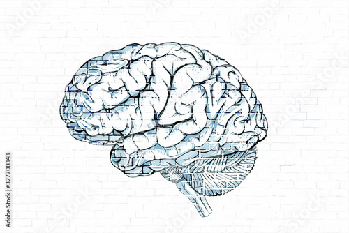 brain on white brick background