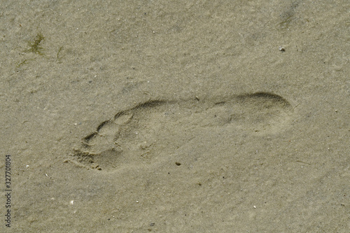  Footprint on the sandy beach 