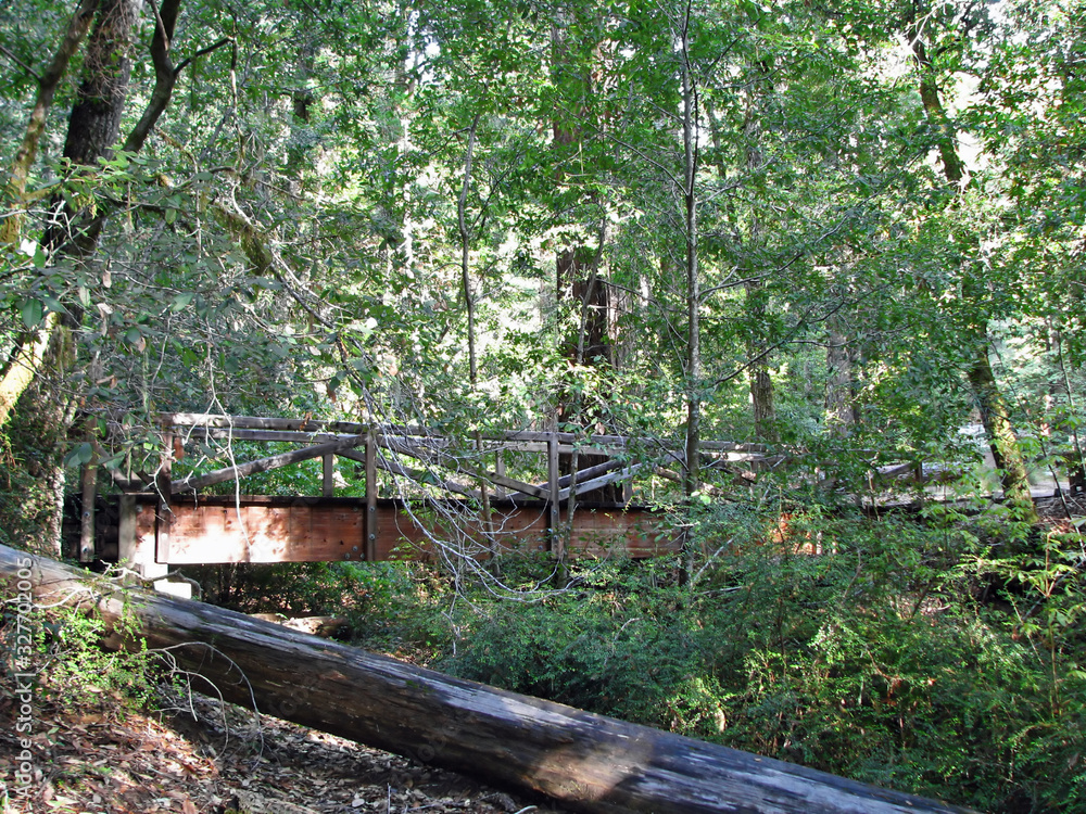 Wooden Footpath Bridge Big Basin Redwoods State Park Wooden Footpath Bridge Big Basin Redwoods State Park