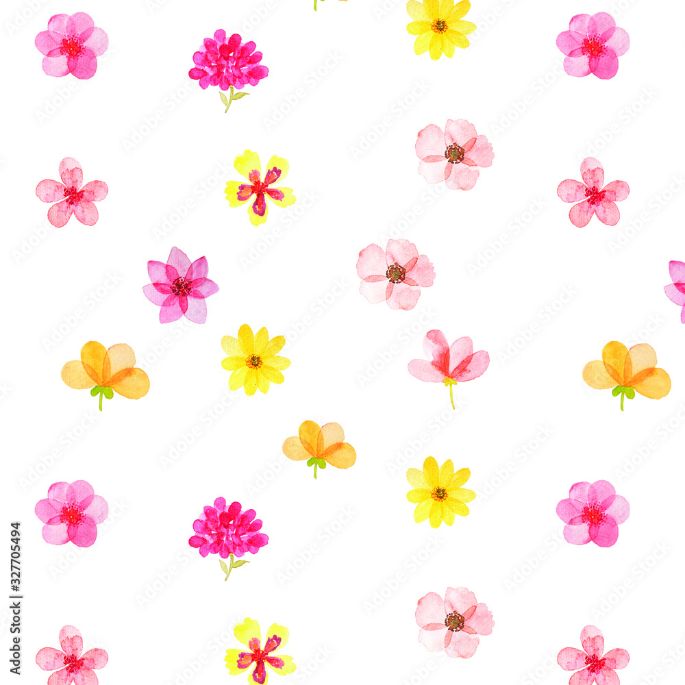 set of flowers isolated on white background