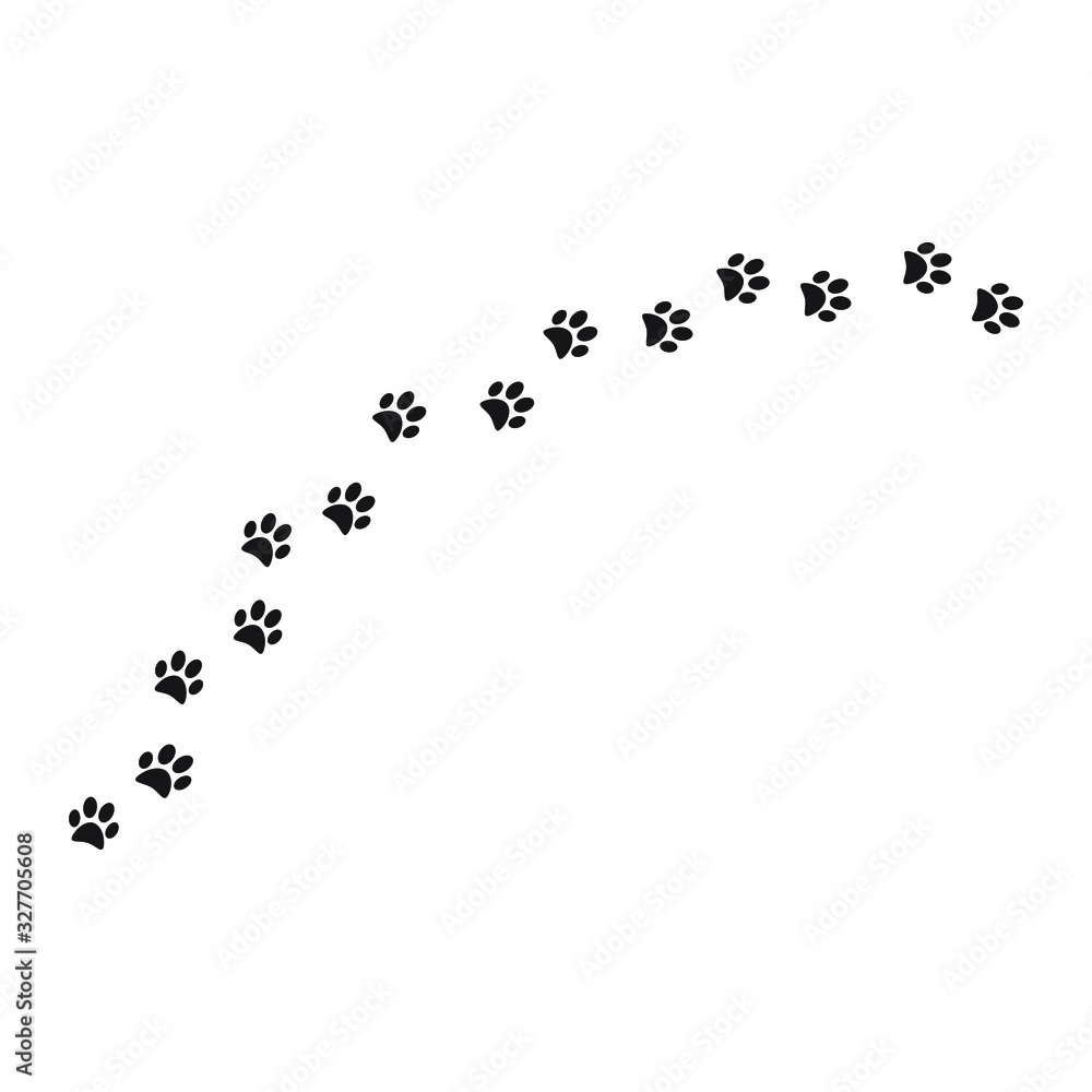Paw print trail on white background. vector illustration Paw print trail on white background. vector illustration