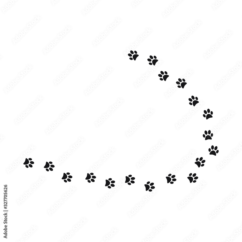 Paw print trail on white background. vector illustration Paw print trail on white background. vector illustration