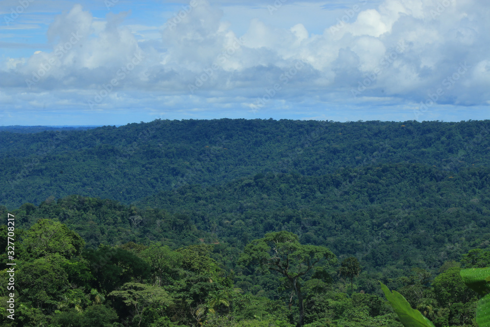 Obraz premium The tropical rainforest, a view over one of the many hills in the amazon with many different trees