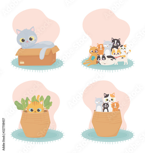 cats make me happy, cats in basket box in carpet cartoon