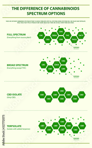 The Difference of Cannabinoids Spectrum Options vertical infographic illustration about cannabis as herbal alternative medicine and chemical therapy, healthcare and medical science vector.