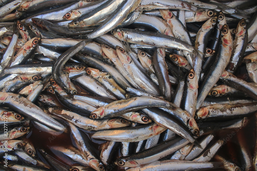 Large load of European anchovy thrown on a big pile as they are being sold on the fish market Large load of European anchovy thrown on a big pile as they are being sold on the fish market