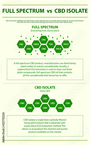 Full Spectrum vs CBD Isolate vertical infographic illustration about cannabis as herbal alternative medicine and chemical therapy, healthcare and medical science vector.