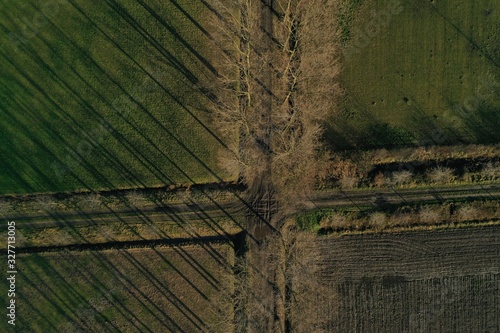 aerial view of trees casting thin shadows to the left at a crosspoint of two dirt tracks or roads
