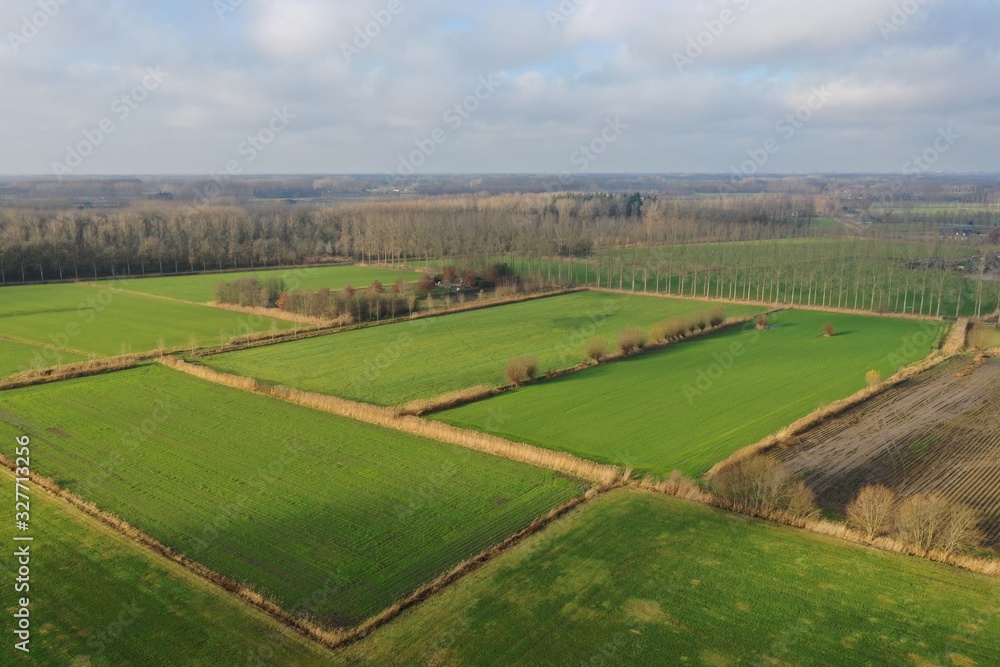 aerial view of a few very large green meadow, rastered by reeds and large trees as is typical in European countries aerial view of a few very large green meadow, rastered by reeds and large trees as is typical in European countries