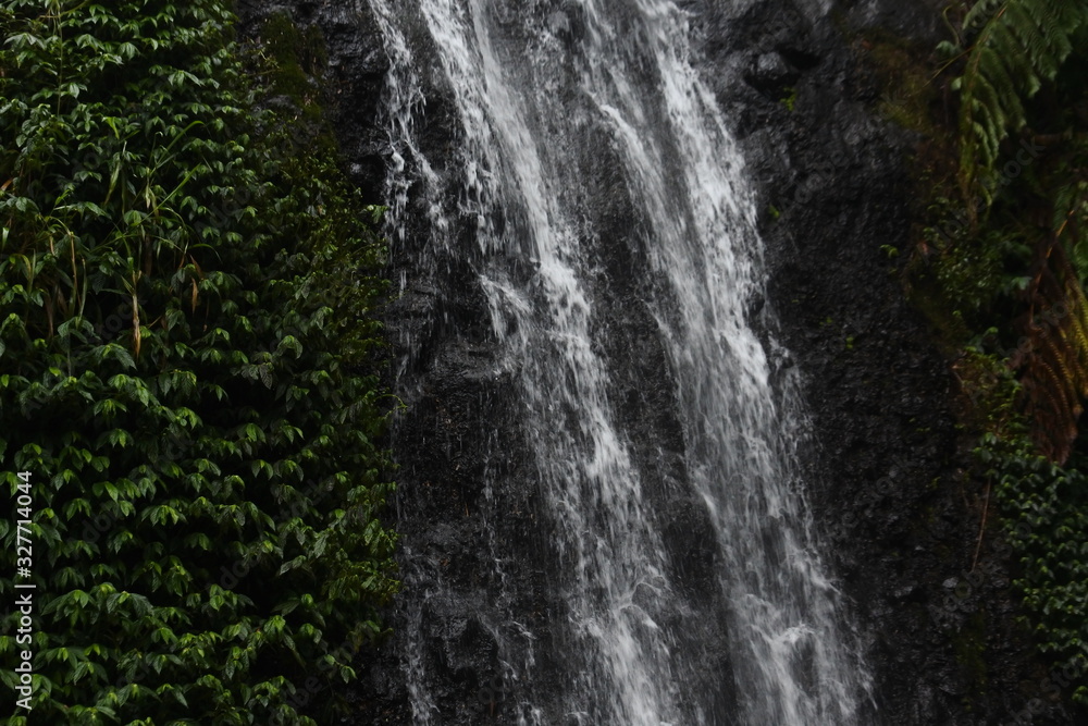 Fototapeta premium waterfall in the middle of the forest. waterfall flow. Beautiful natural waterfall