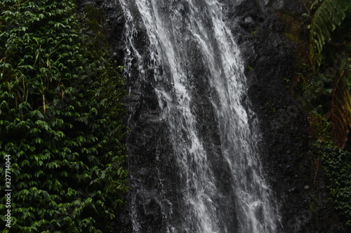waterfall in the middle of the forest. waterfall flow. Beautiful natural waterfall