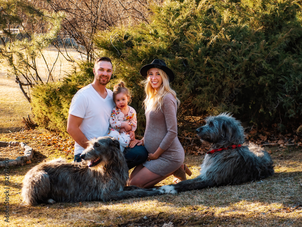 Happy family with Irish wolfhound pets - mother pregnant