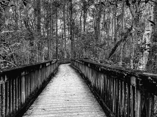 wooden bridge in the forest © Hairon 
