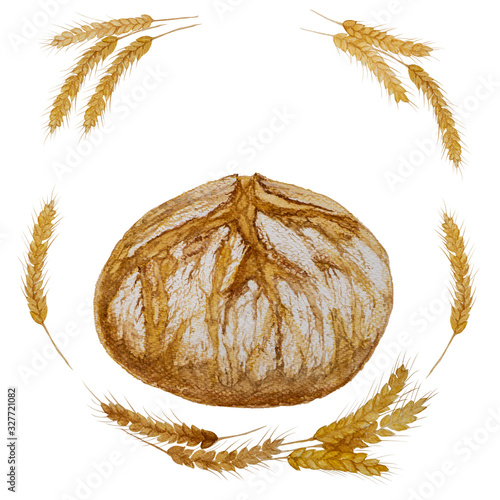 Brown homemade Crusty french loaf bread baked and bunches of brown dry wheat seeds illustration, watercolor hand drawing isolated on white backgrounds with clipping path