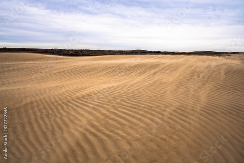 windy barren sand dune landscape