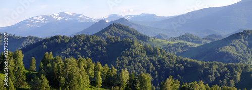 Mountains in early summer, banner background © Valerii