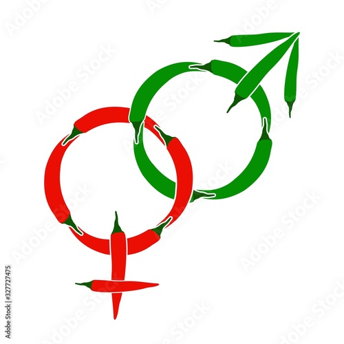 Male female green peppers. Red green color peppers vector illustration