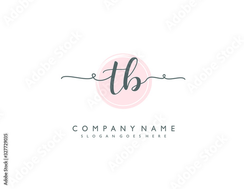 TB initial letter elegant handwriting logo collection