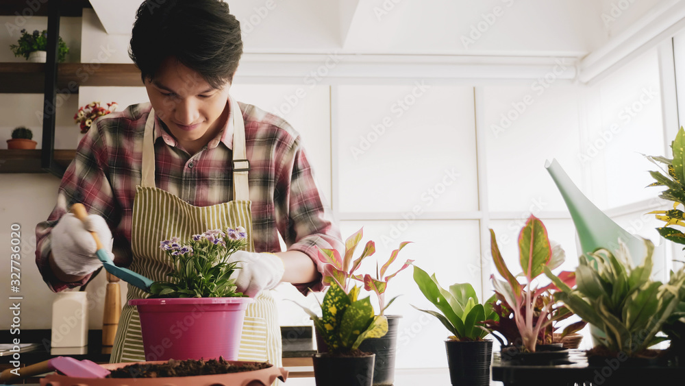 Young gardener man disking soils in flowerpot in the room. Young gardener man disking soils in flowerpot in the room.