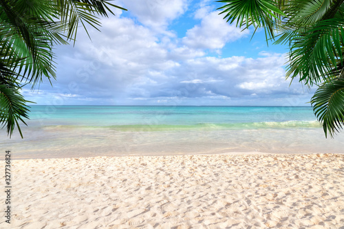 Fototapeta Naklejka Na Ścianę i Meble -  Sunny Tropical Beach Background With Palm Trees and Copy Space