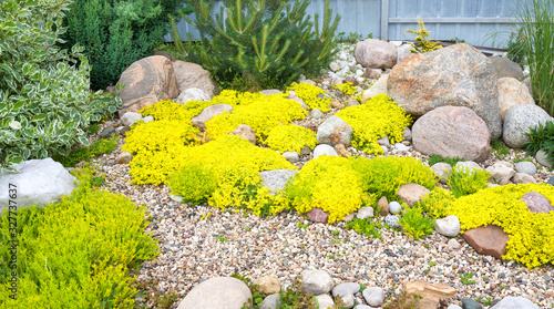 panorama of rockery rock garden