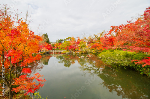 Autumn colorful