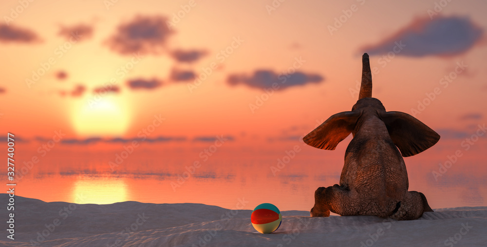 Fototapeta elephant sitting on the beach watching or the sunset