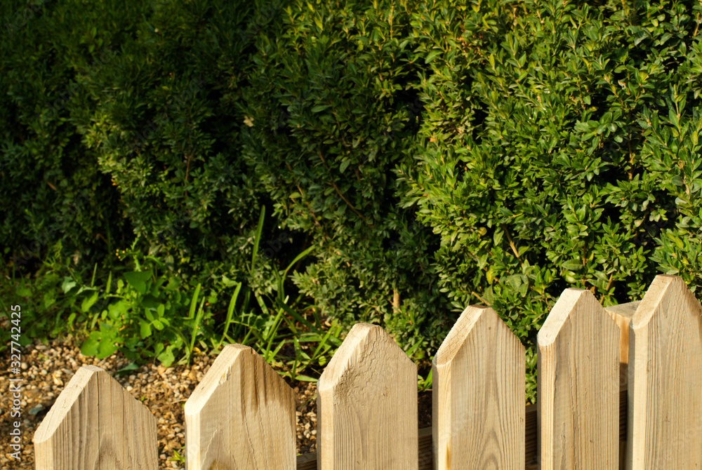 Naklejka premium Wooden decorative fence and green garden