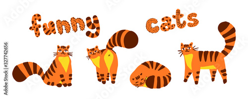 Funny shy cats, set of illustrations color characters isolated on a white background. Flat hand drawn cartoon