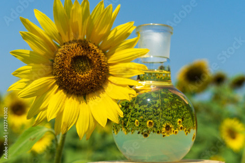 Glass flask with sunflower oil. photo