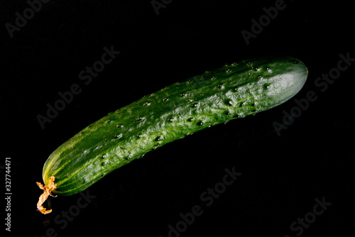 Cucumber on a black background  close-up on a black background  space for text