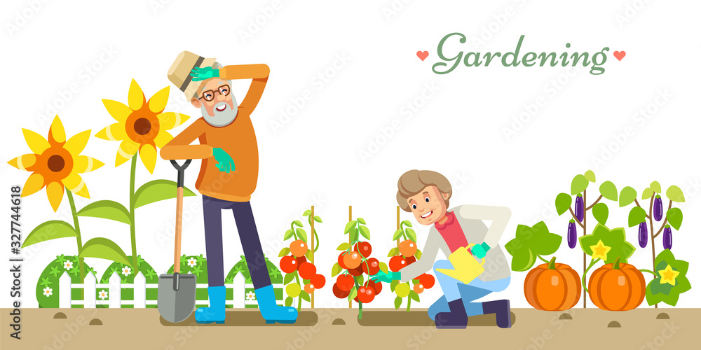 Older people life style vector flat illustration gardening and pleasure  enjoyment. Grandpa and Granny in the garden. White isolated background.  vector de Stock | Adobe Stock