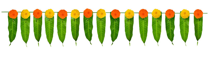 Indian flower garland of mango leaves and marigold flowers. Ugadi diwali ganesha festival poojas weddings functions holiday ornate decoration. Isolated on white background natural mango leaf garland