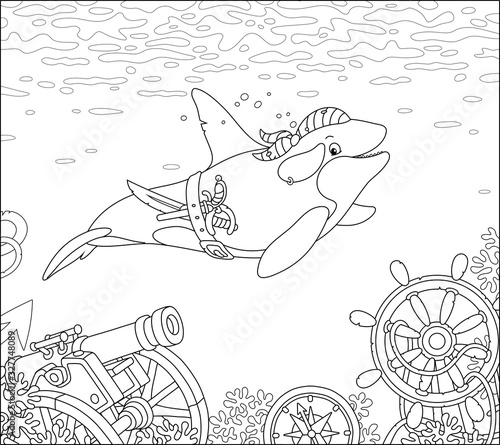 Killer whale swimming with a pirate bandana, a saber and a pistol over wreckage of an old sunken sail ship on a see bottom, black and white vector cartoon illustration for a coloring book