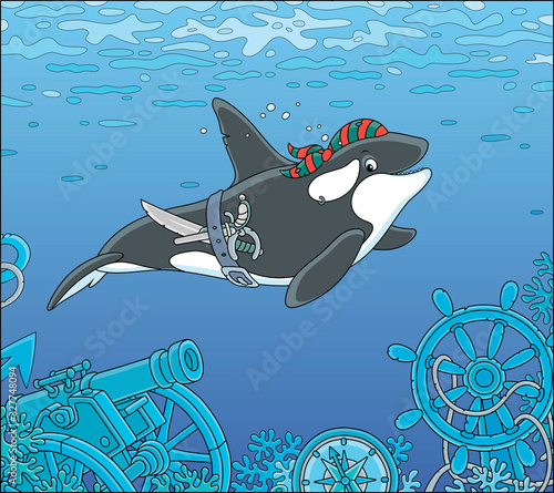 Killer whale swimming with a pirate bandana, a saber and a pistol over wreckage of an old sunken sail ship on a see bottom, vector cartoon illustration