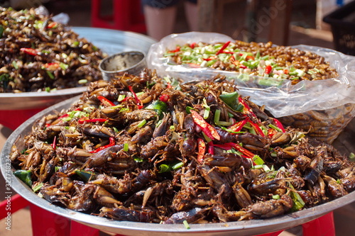 Fried grasshoppers and worms on market in Cambodia © Vedrana