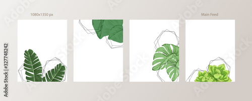 Green and Tropical cover design template, Social media stories and Main Feed Background  with green tropical leaf geometric shapes and minimal style decoration. Vector illustration.