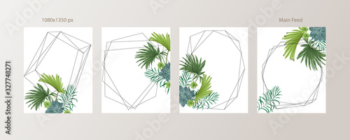 Green and Tropical cover design template, Social media stories and Main Feed Background  with green tropical leaf geometric shapes and minimal style decoration. Vector illustration.