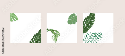 Green and Tropical cover design template  Social media stories and Main Feed Background  with green tropical leaf geometric shapes and minimal style decoration. Vector illustration.